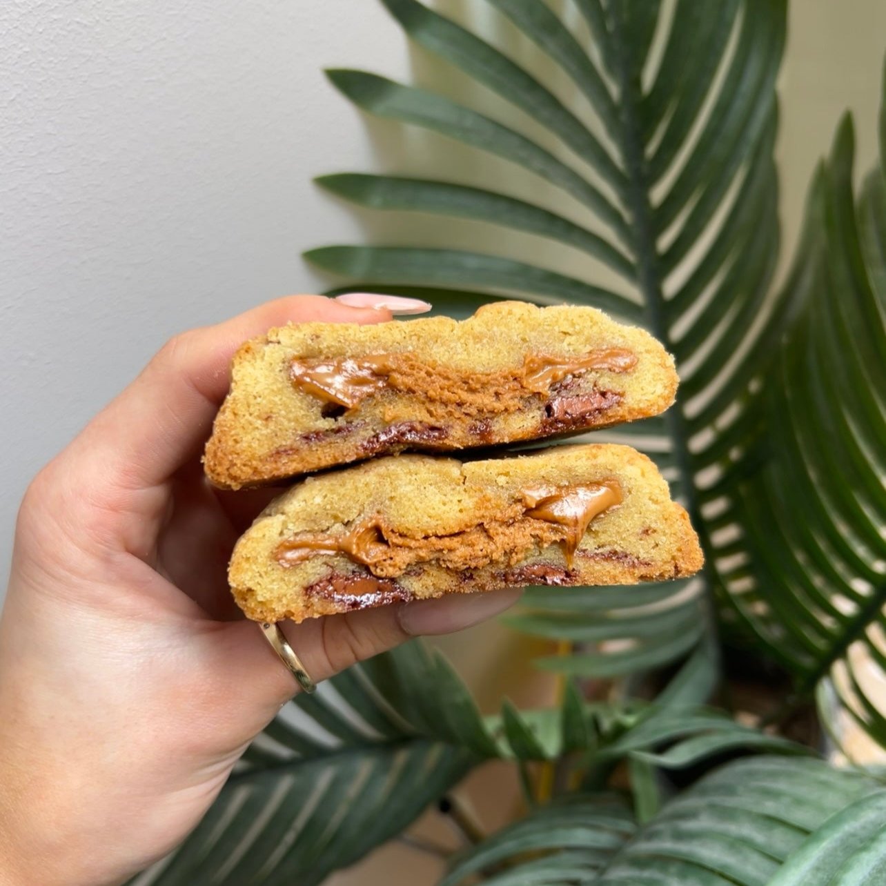 CHOC CHIP BISCOFF